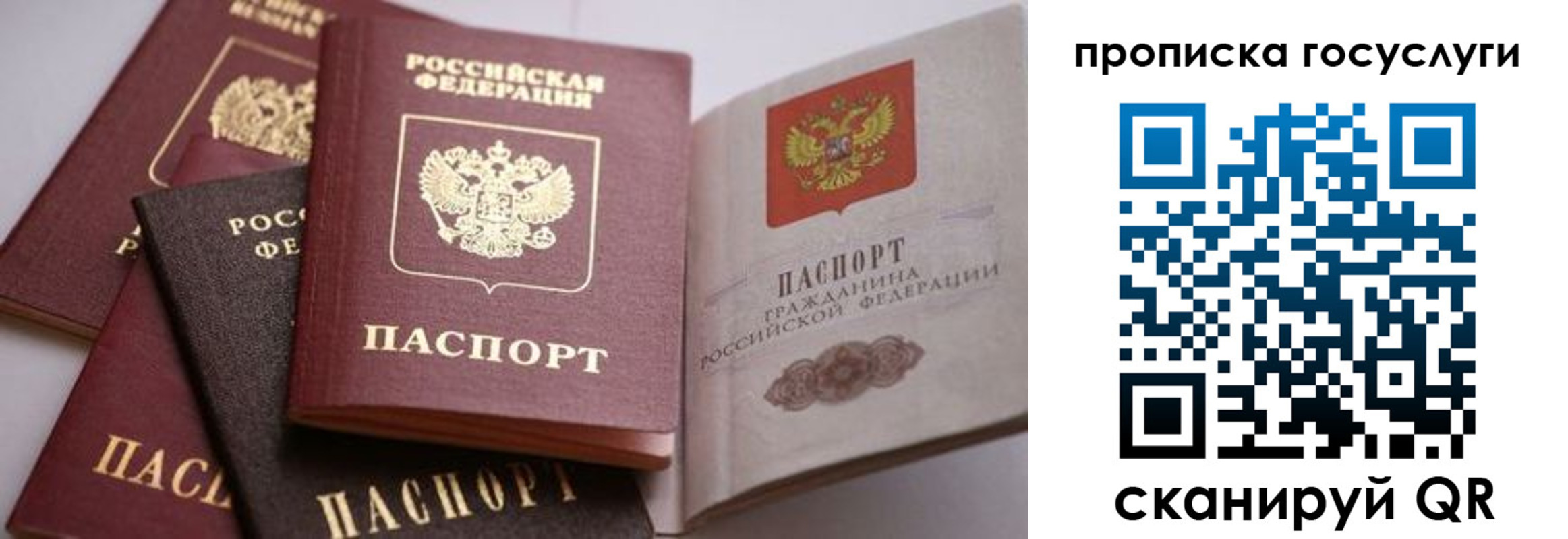 прописка иностранных граждан в Томске